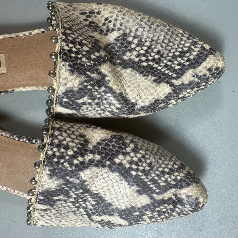 Steve Madden Trace Snake Print Pointed Toe Slide Mule Flats Womens 8